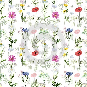 Watercolor wild flowers seamless pattern. Hand painted meadow flowers on white background. Summer floral illustration