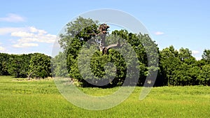 Summer meadows and forests in South Moravia