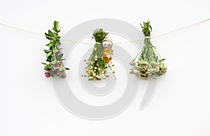 Summer medical herbs bunches