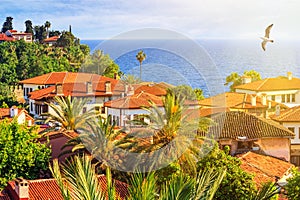 Summer mediterranean cityscape - view of the roofs of the Kaleici area, the historic city center of Antalya