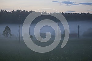 Summer midnight in the northern latitudes. An overhead power line on a meadow in a scattered low fog amid the forest