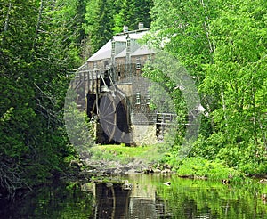 Summer Mill