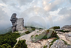 Summer misty morning cloudy Carpathian Mountains (Ukraine