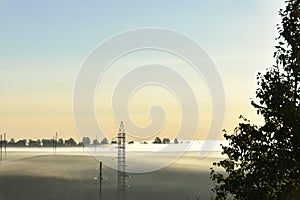 Summer misty morning. The road is in the park. Sunrise over the forest behind thick fog