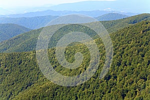 Summer misty mountain landscape