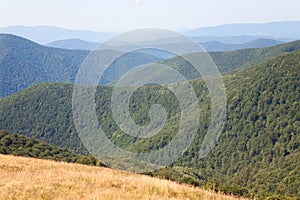 Summer misty mountain landscape