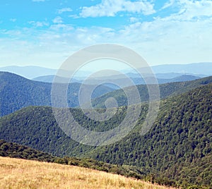 summer misty mountain landscape