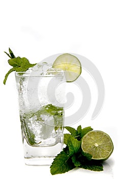 Summer Mojito