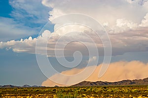 A summer monsoon dust storm (haboob) rolls across the Arizona desert