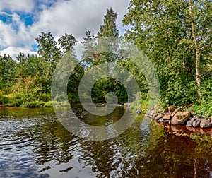 Summer morning on the banks of the river mga in the Leningrad re