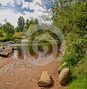 Summer morning on the banks of the river mga in the Leningrad re