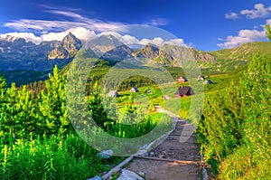 Verano manana colores en montanas 