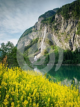 Summer morning at the Stillup reservoir in the Zillertal in Tyrol