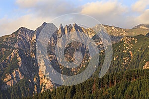 Summer mountain cliffs in sunrise with pine forest.