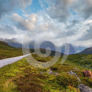 Summer mountain cloudy landscape (Norway