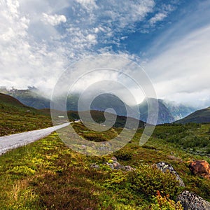 Summer mountain cloudy landscape (Norway