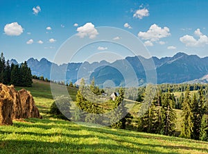 Summer mountain country view