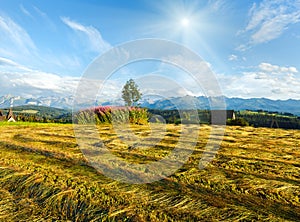 Summer mountain evening country view with mown field