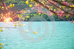 Summer mountain lake with flowering trees