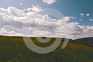 Summer mountain landscape