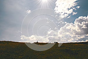 Summer mountain landscape