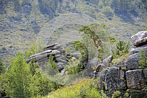 Summer mountain landscape.