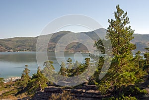 Summer mountain landscape.