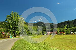 Summer mountain landscape