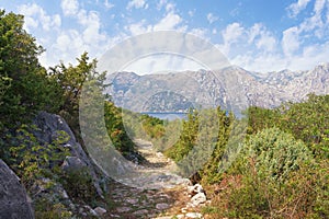 Summer mountain landscape with ancient cobblestone road. Montenegro, Vrmac mountain, Bay of Kotor