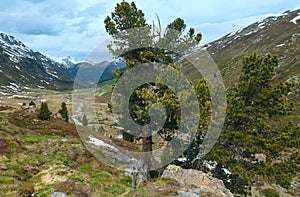 Summer mountain landscape (Fluela Pass, Switzerland)