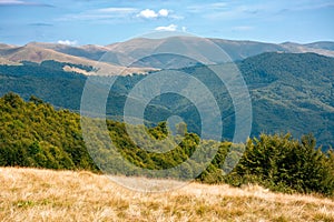 summer mountain landscape with forest on the hill