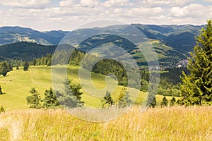 Summer mountain landscape in Pieniny, near to Szczawnica, Malopolska, Poland