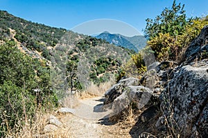 Summer mountain landscape in Sierra Nevada, California, USA. Kings Canyon and Sequoia National Park