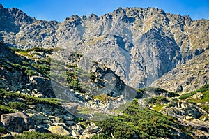 Summer mountain landscape in Slovak mountains.