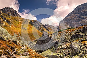 Summer mountain landscape in sunny day.