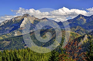 Summer mountain landscape