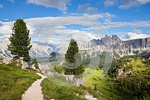 Summer mountain panorama