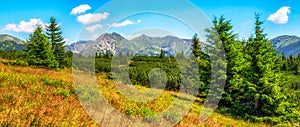 Summer mountain panoramic landscape in Western Tatras, Slovakia