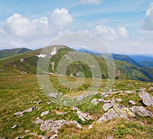 summer mountain pidge (Ukraine, Carpathian Mountains)