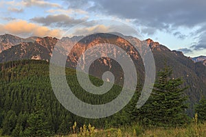 Summer mountain sunrise with pine forest.