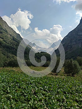 Summer mountain valley canyon panorama