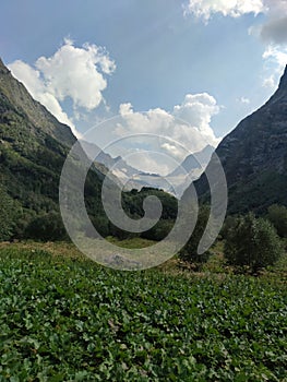 Summer mountain valley canyon panorama