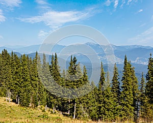 Summer mountain view (Carpathian, Ukraine)