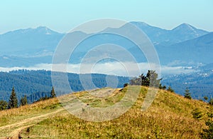 Summer mountain view (Carpathians, Ukraine).