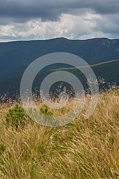 Summer Mountain view with a dramatic stormy sky and lush vegetation