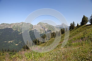 Summer mountains in French Alps