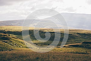 Summer mountains green grass fields landscape