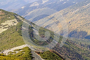 Summer mountains with green grass landscape.