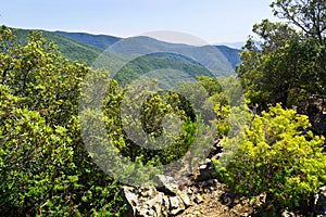 Summer mountains landscape of Montseny. Catalonia