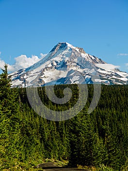 Summer Mt Hood